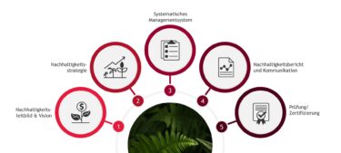 The path to sustainability in five steps. ©BDO